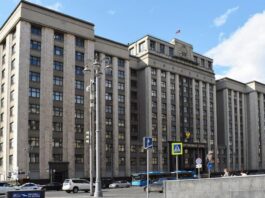 Нина Чиплакова: «большинство сил смещает фокус на прагматичную экономическую и социальную проблематику»
